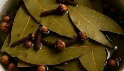 Té de hierbas de hoja de laurel y clavo